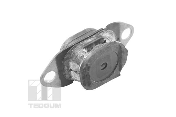 TEDGUM TED27774 Mounting, engine