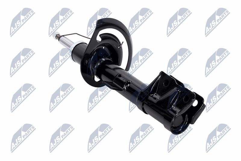 Amort, NTY A-CH-057