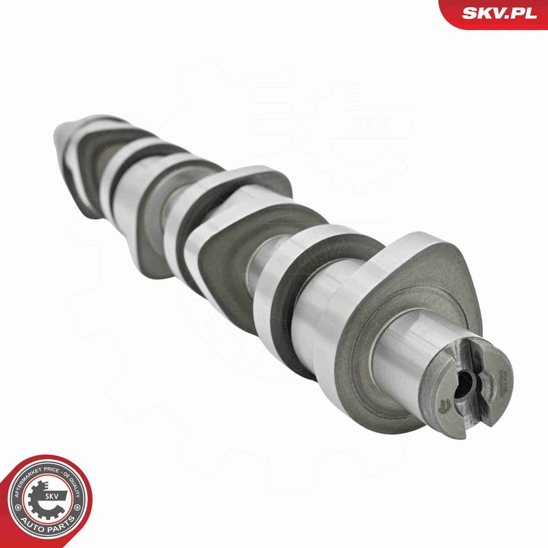 ESEN SKV 80SKV306 Camshaft Kit