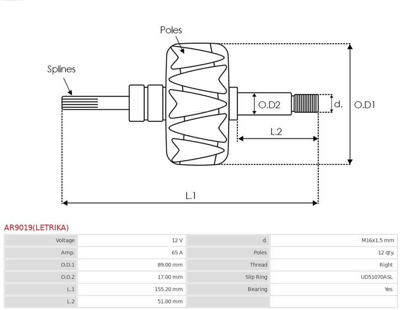 AR9019(LETRIKA)_223338.JPG