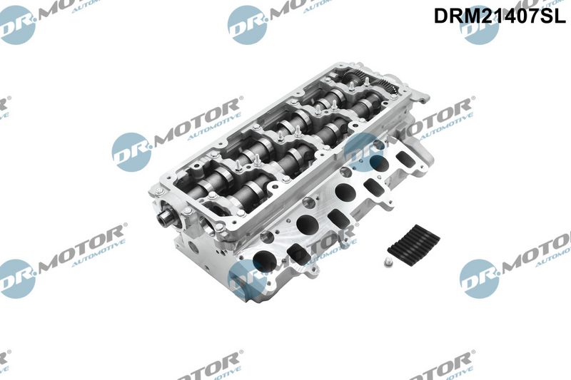 Dr.Motor Automotive Cilindro galvutė