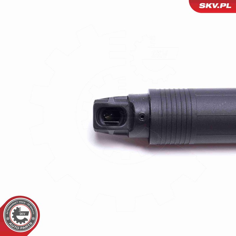 ESEN SKV 52SKV946 Electric Motor, tailgate