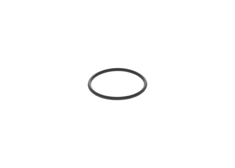 BOSCH 1 420 210 025 Rubber Ring