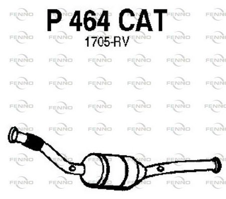 P464CAT.JPG