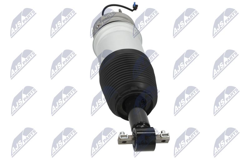 Amort, NTY A-CH-098