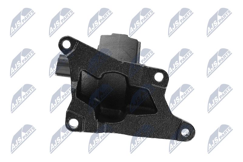 Paigutus, Mootor, NTY ZPS-CH-030