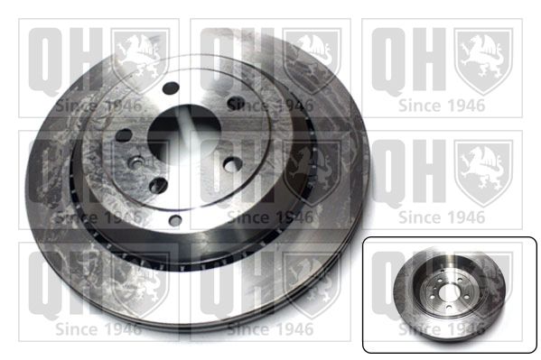 QH_BDC5627.JPG
