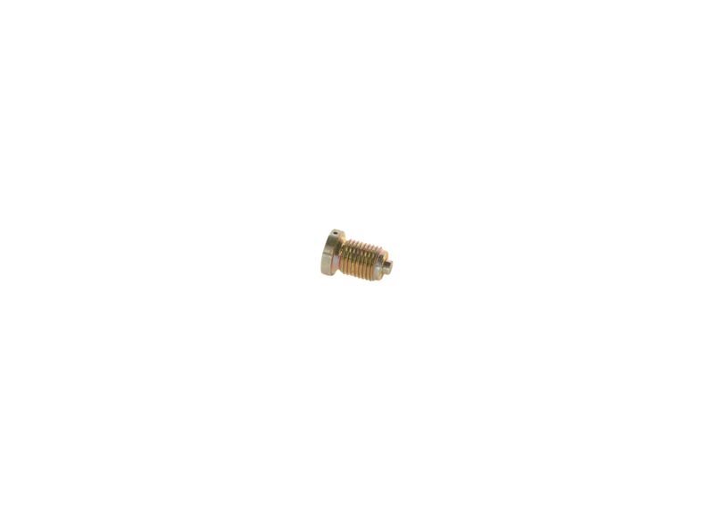BOSCH 2413462020 Screw