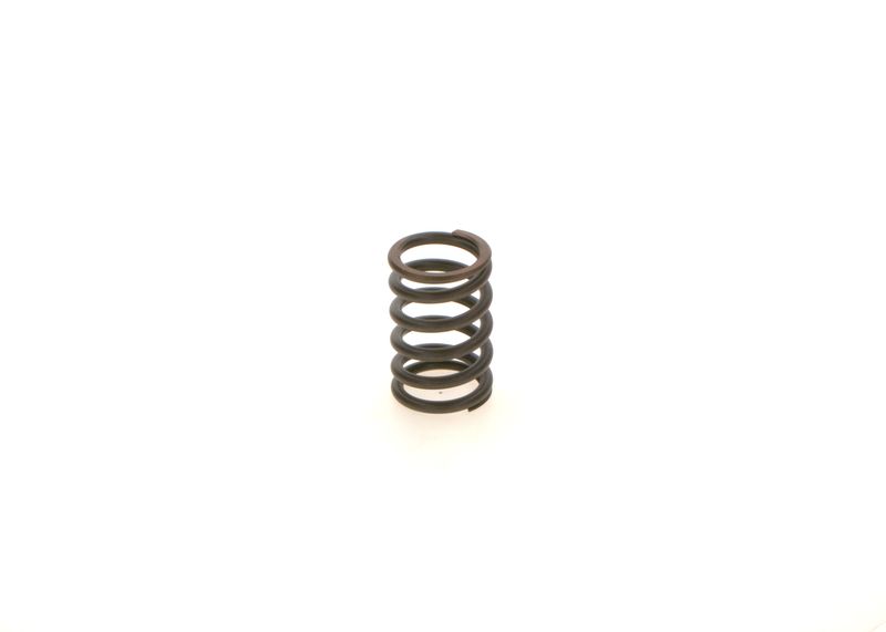 BOSCH 1414619025 Spring