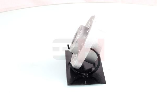 Vedruamordi tugilaager, GH GH-361524