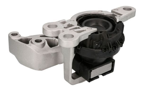 REINHOCH RH11-2183 Mounting, engine