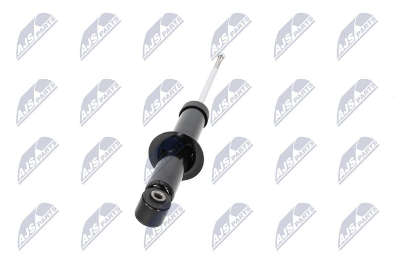Amort, NTY A-CH-058
