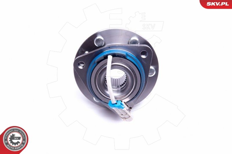 ESEN SKV 29SKV365 Wheel Bearing Kit