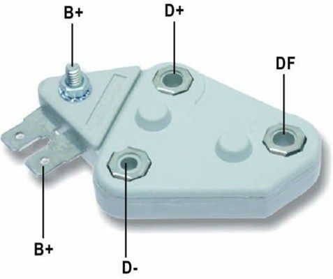DDF_AMP0205_WR.JPG