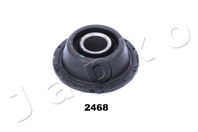 GOJ2468_1.JPG