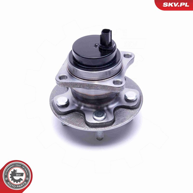 ESEN SKV 29SKV533 Wheel Bearing Kit
