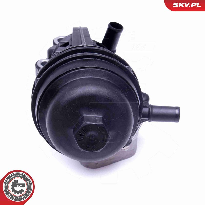 ESEN SKV 31SKV170 Variklio alyvos aušintuvas
