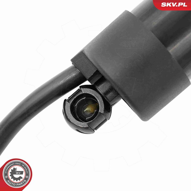 ESEN SKV 52SKV216 Electric Motor, tailgate