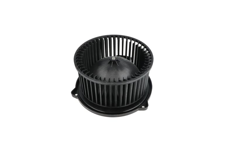 Salongipuhur, NRF 34331