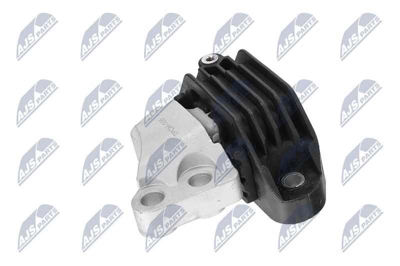 Paigutus, Mootor, NTY ZPS-CH-165