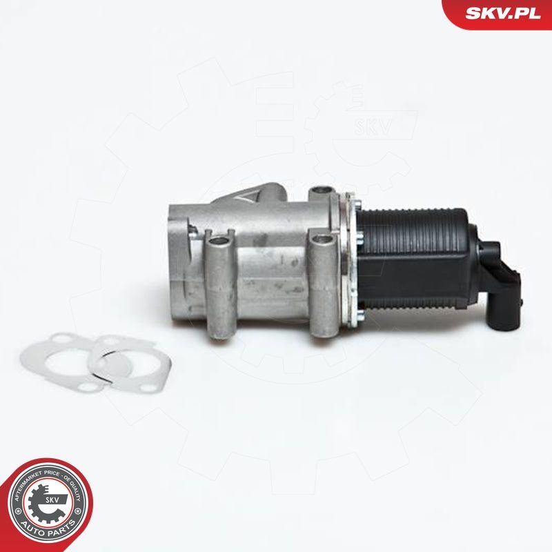 EGR-klapp, ESEN SKV 14SKV006