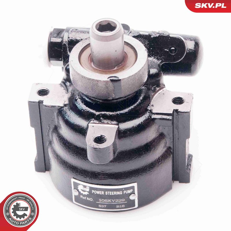 ESEN SKV 10SKV229 Hydraulic Pump, steering