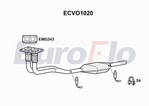 ecvo1020.JPG