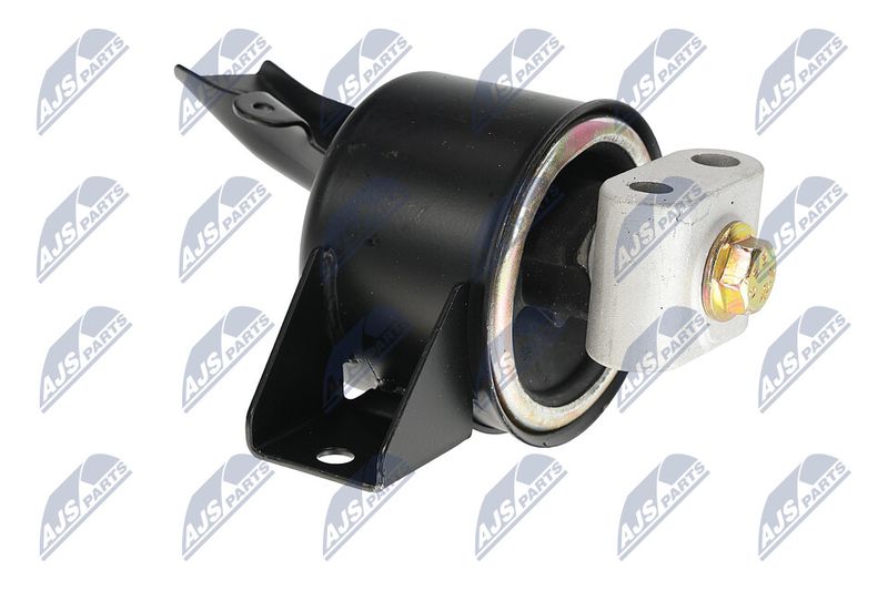 Paigutus, Mootor, NTY ZPS-DW-010