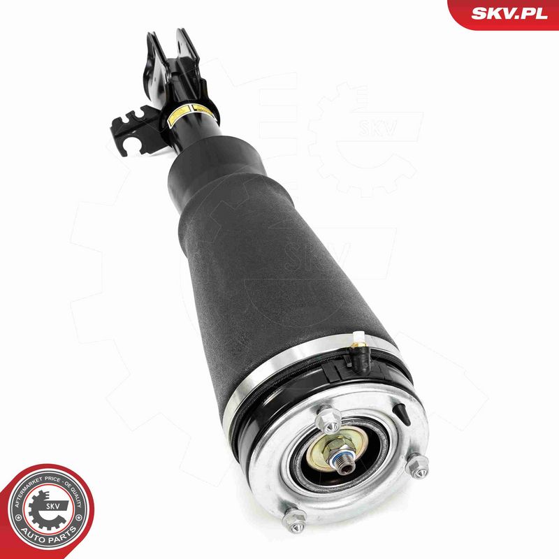 ESEN SKV 58SKV709 Air Suspension Strut