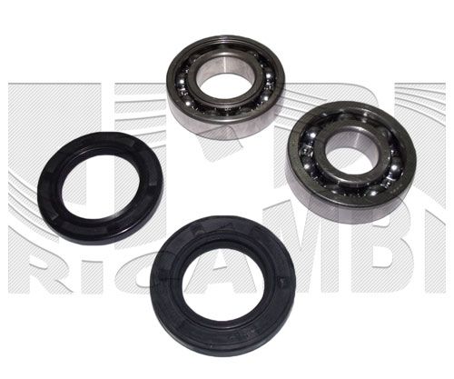 RK2211.JPG