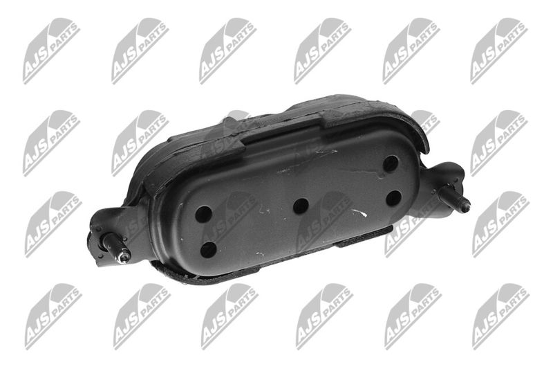 Paigutus, Mootor, NTY ZPS-CH-115