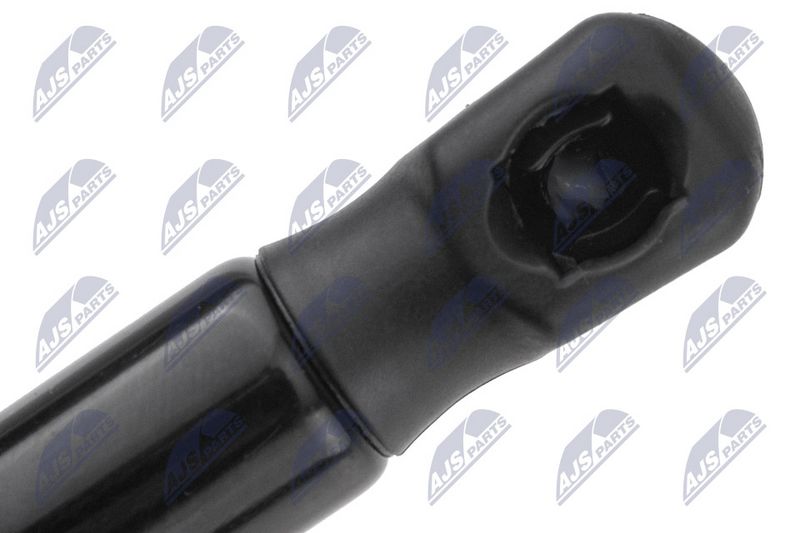 NTY AE-PS-010 Gas Spring, bonnet