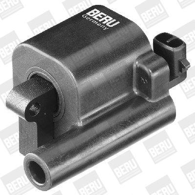 BorgWarner (BERU) ZS507 Ignition Coil