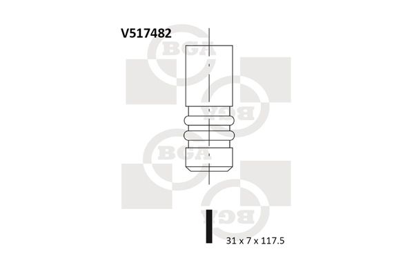 V517482.JPG