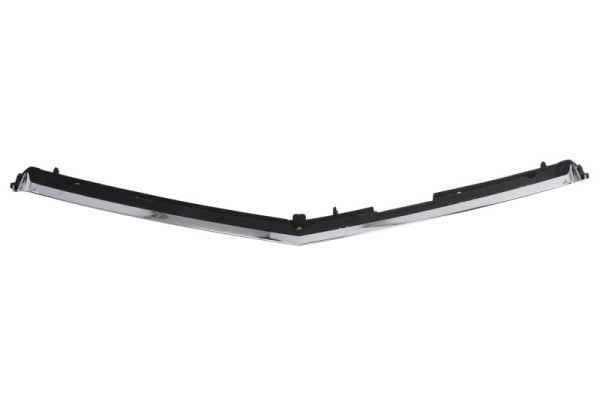 BLIC 6502-07-3529990P Trim/Protection Strip, radiator grille