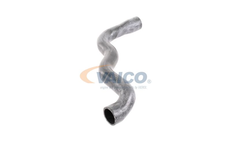 VAICO V30-2915 Radiator Hose