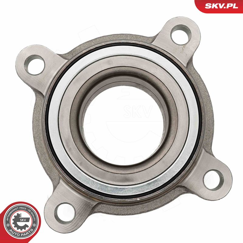ESEN SKV 29SKV673 Wheel Bearing Kit