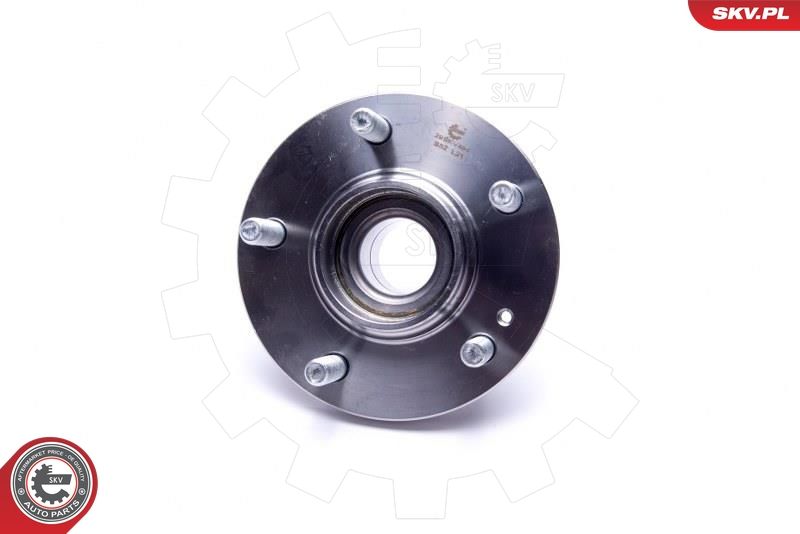 ESEN SKV 29SKV484 Wheel Bearing Kit
