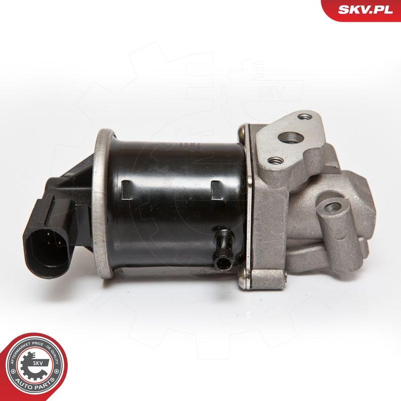 EGR-klapp, ESEN SKV 14SKV074