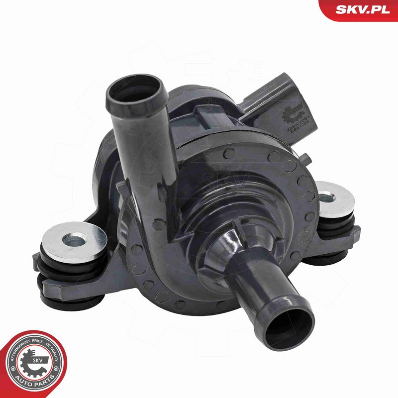 ESEN SKV 22SKV081 Auxiliary Water Pump (cooling water circuit)