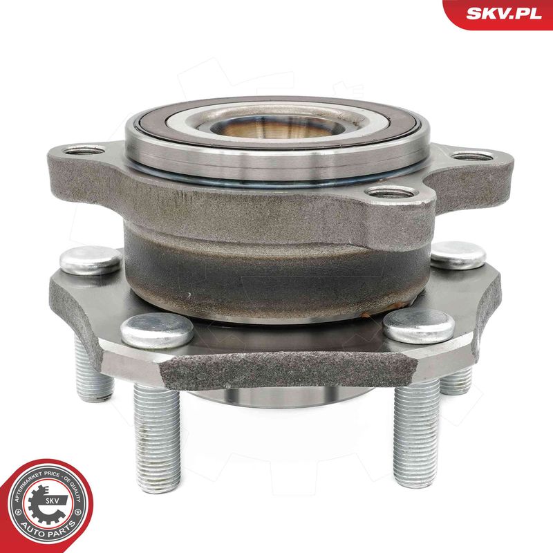 ESEN SKV 29SKV564 Wheel Bearing Kit