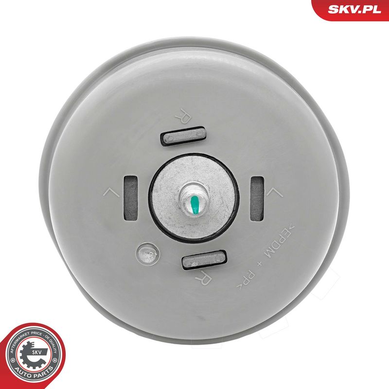 Paigutus, Mootor, ESEN SKV 75SKV133