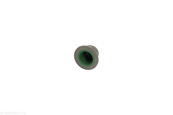 AUTOMEGA 190010210 Seal Ring, valve stem