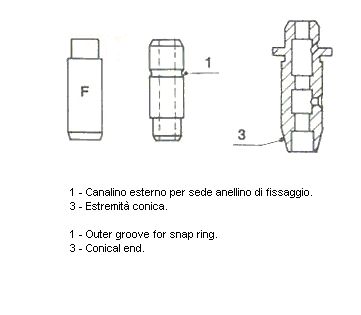 F_13.BMP