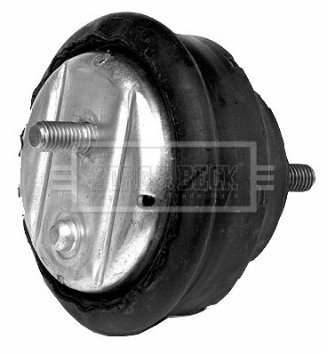 BEM3202_210061.JPG