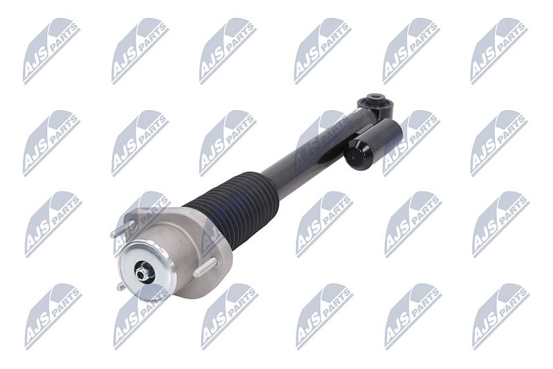 Amort, NTY A-LR-020