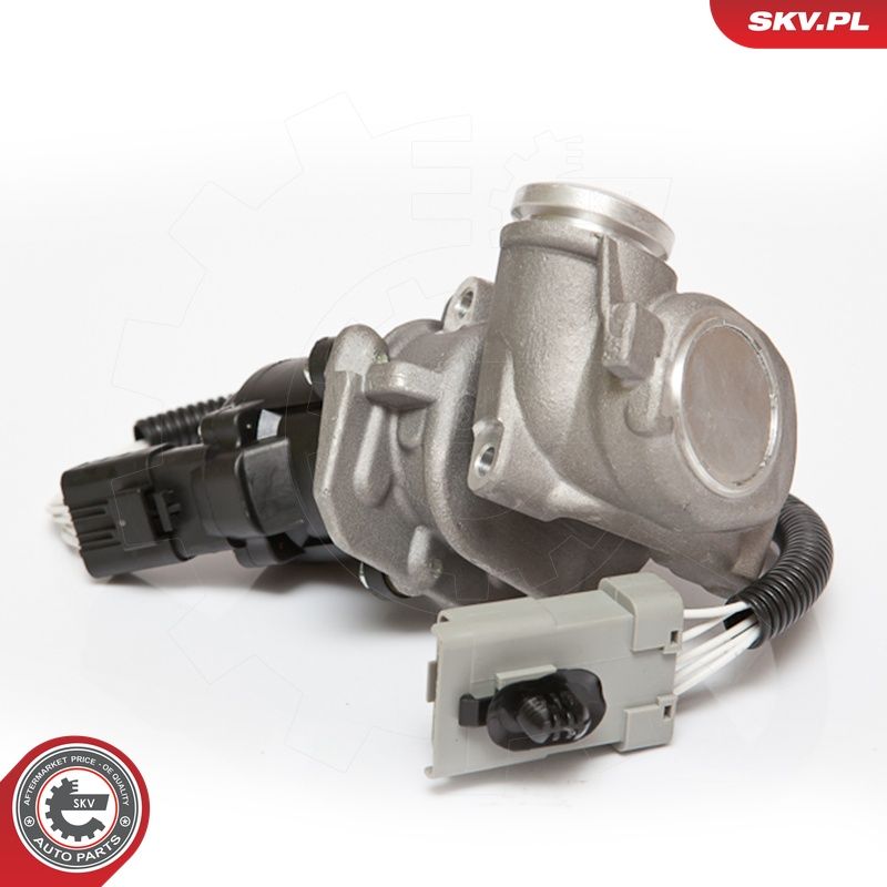 EGR-klapp, ESEN SKV 14SKV067