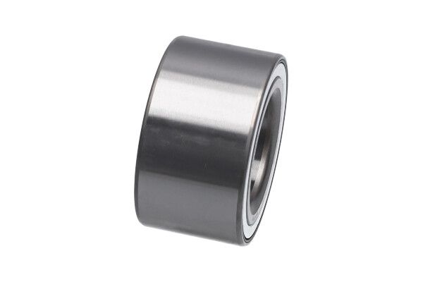 Kavo Parts WB-7501 Wheel Bearing