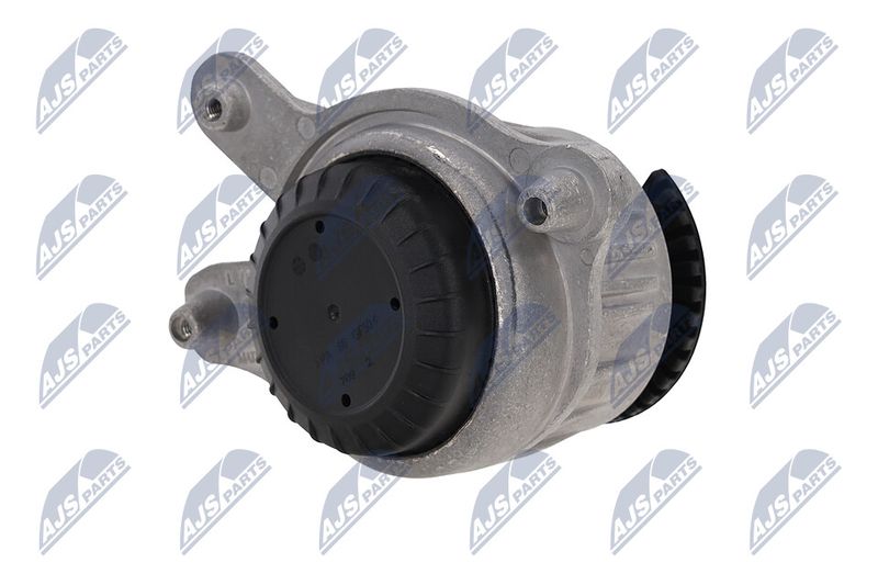 Paigutus, Mootor, NTY ZPS-ME-025