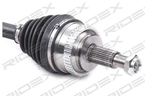 15748236_284.JPG